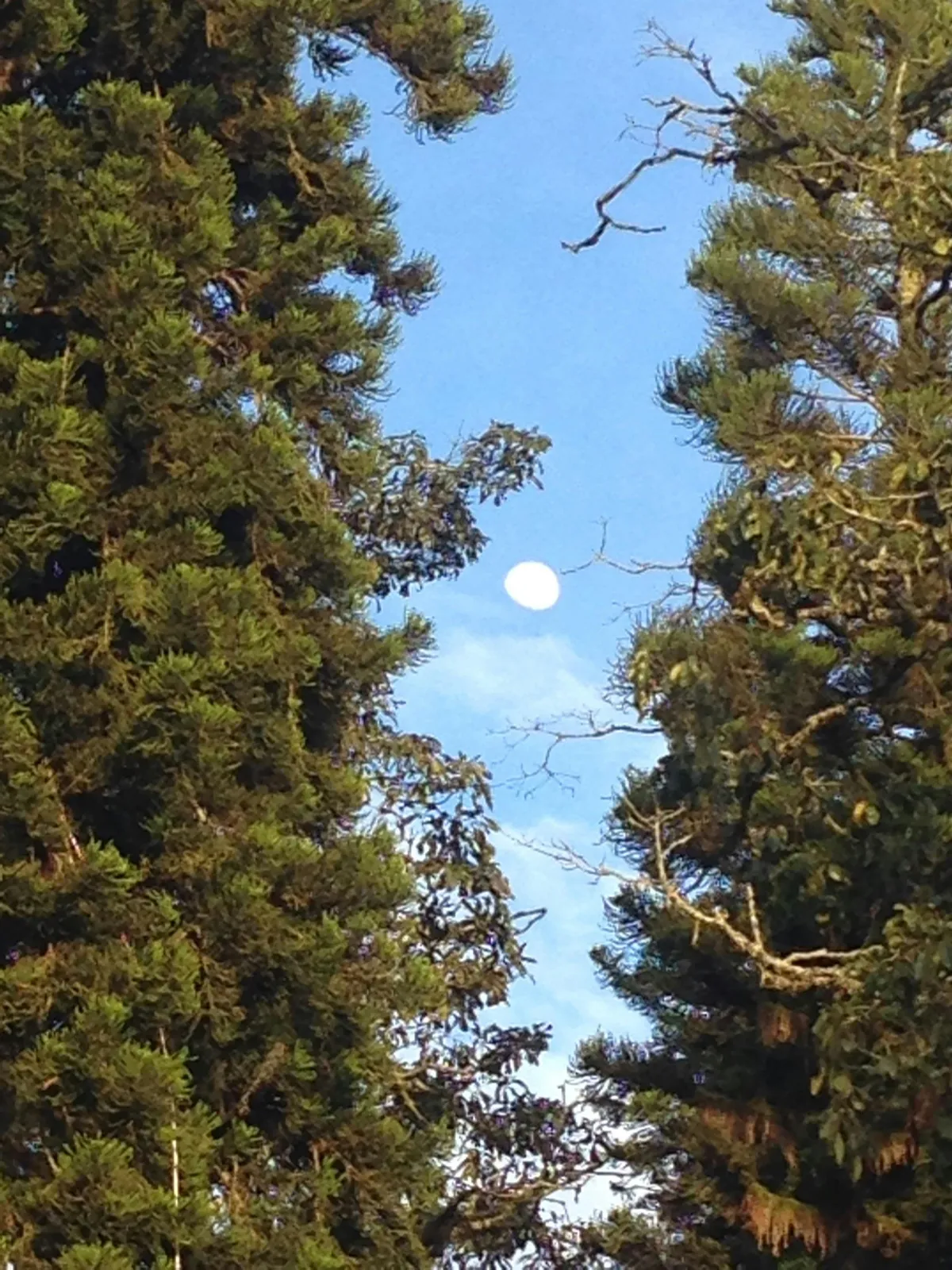 alberto montes — GB news