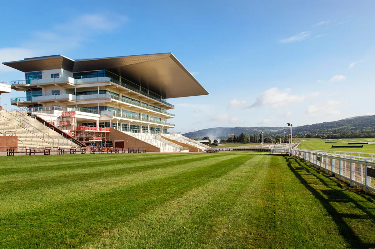 cheltenham races — GB news
