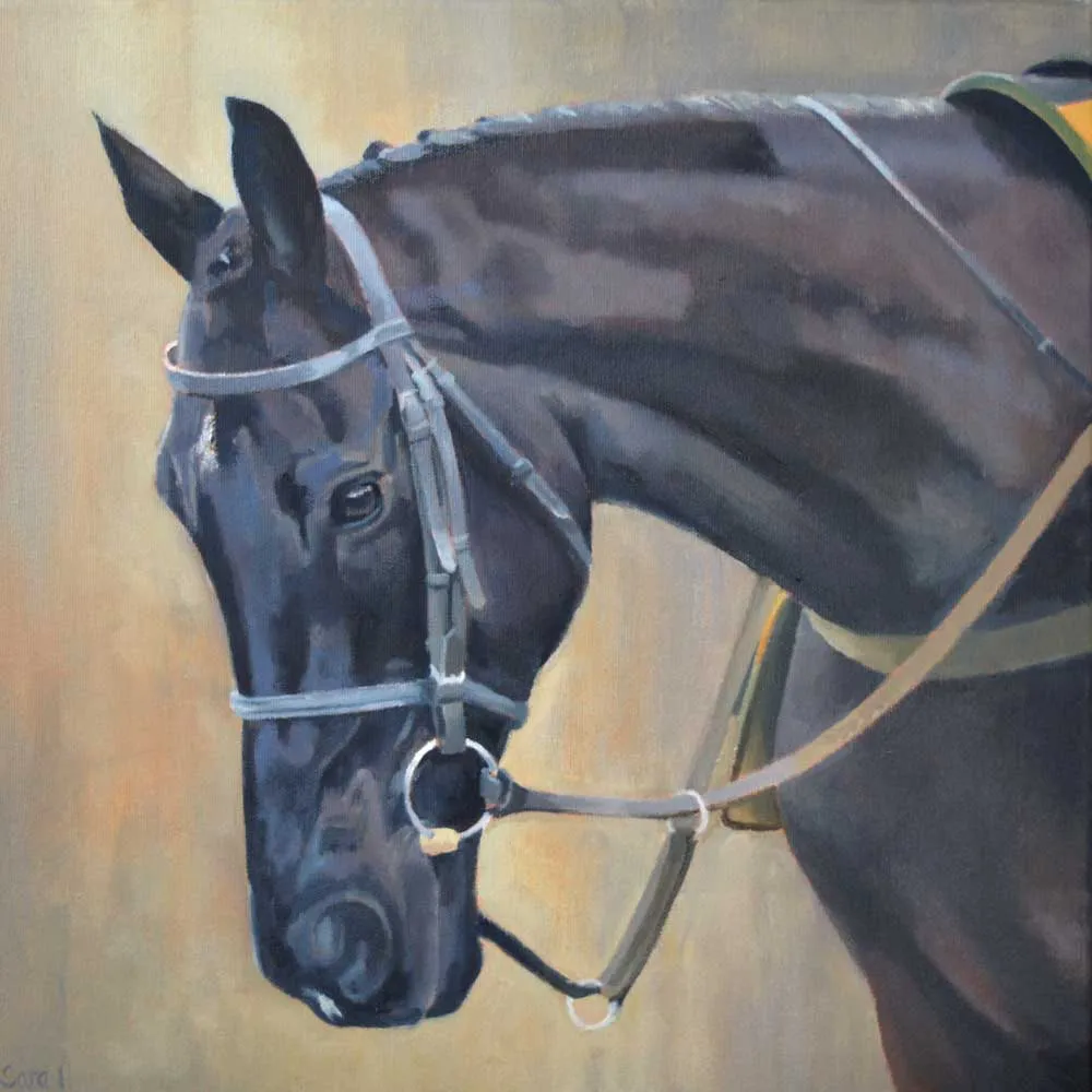 galopin des champs — GB news