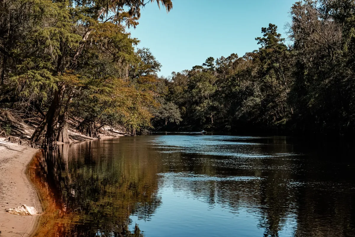 gibson park — GB news