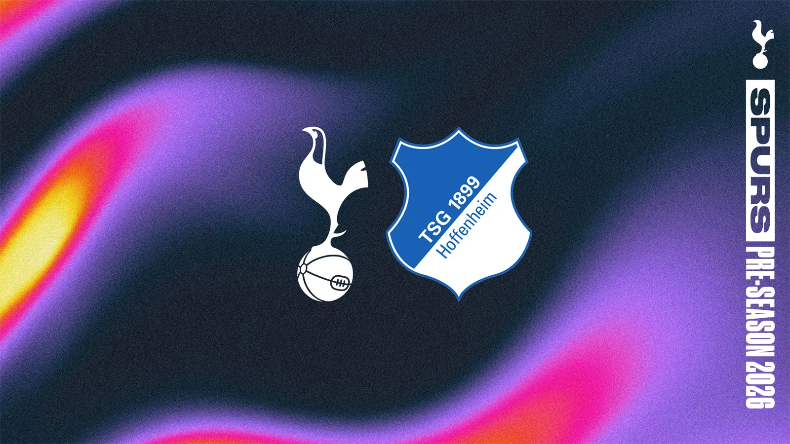 Tottenham Hotspur vs Hoffenheim: Club Friendlies stats & head-to-head